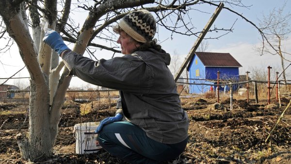 Весенний дачный участок