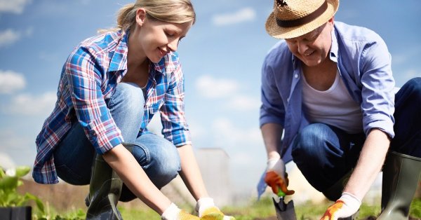 Приколы про огород и дачу