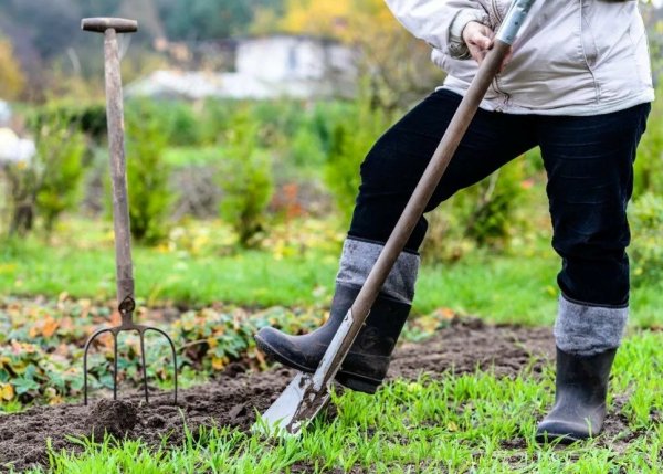 Устал в огороде