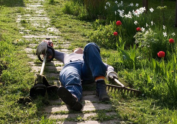Люди в огороде весной