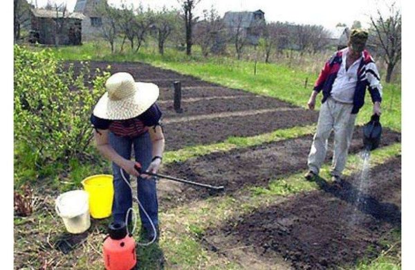 Садовые инструменты для сада