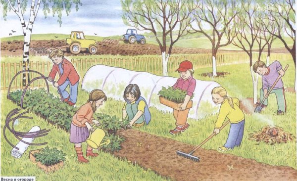 Труд в огороде весной