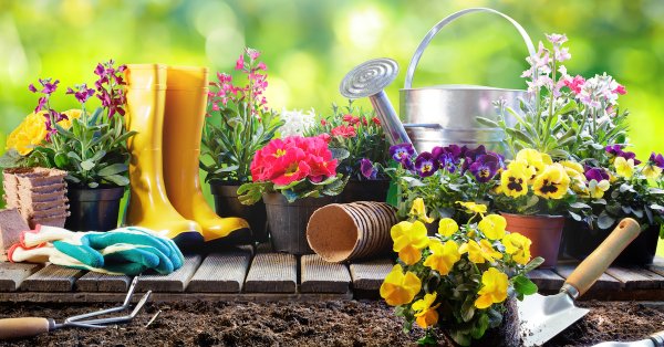 Дачный сезон