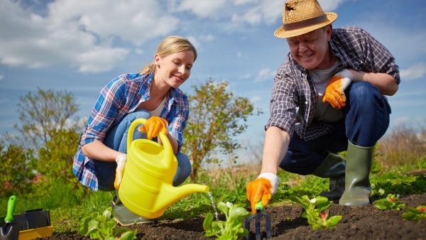 Дачник на огороде