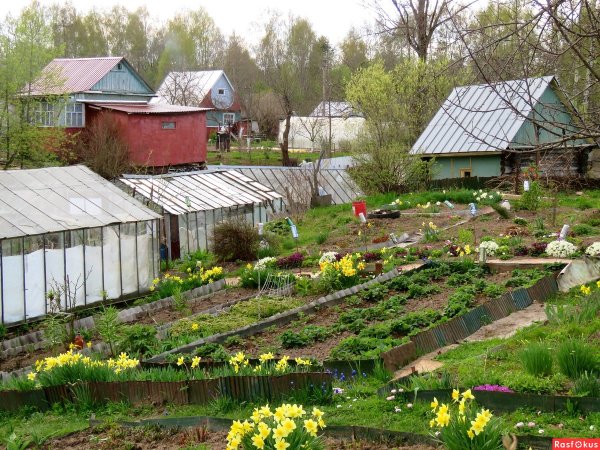 Дачный участок весной