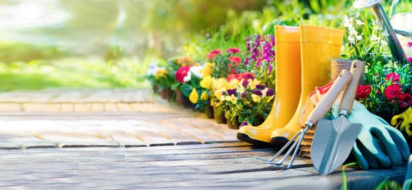 Садовый инвентарь фон