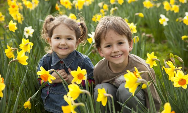 Вырастить цветок картинка для детей