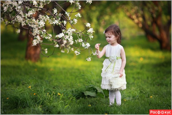 Дети в яблоневом саду