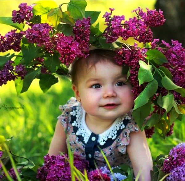 Фотосессия в сирени дети