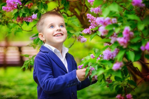 Мальчик с сиренью