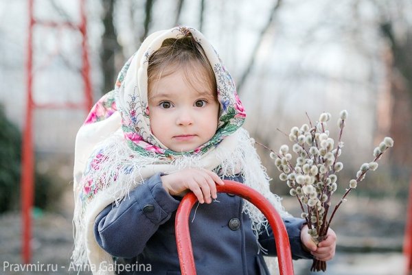 Верба для детей