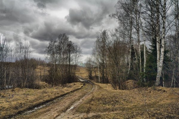 Пасмурный день весной