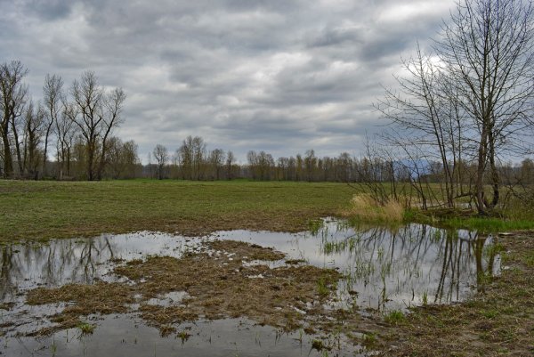 Пасмурный весенний день