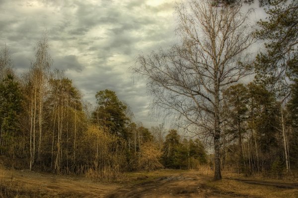 Туман ранней весной