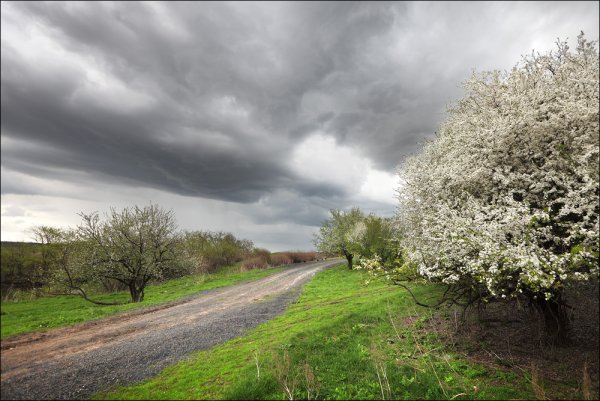 Поздняя осень