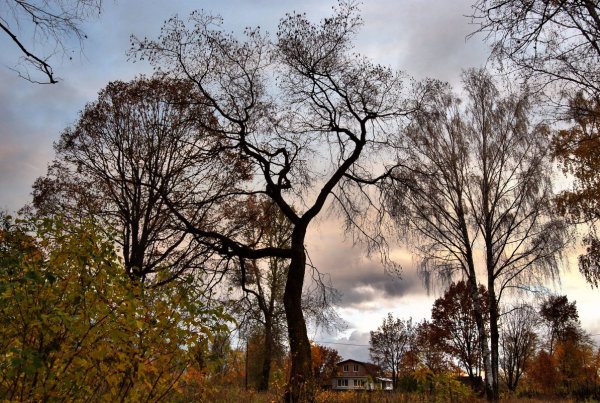 Хмурая Весна дождь