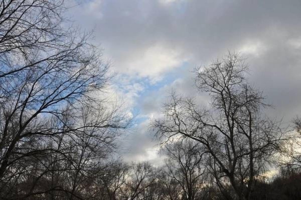 Поздняя осень дорога в деревне