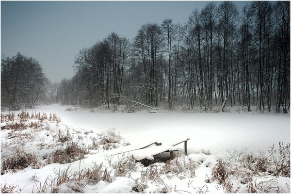 Пасмурное зимнее небо