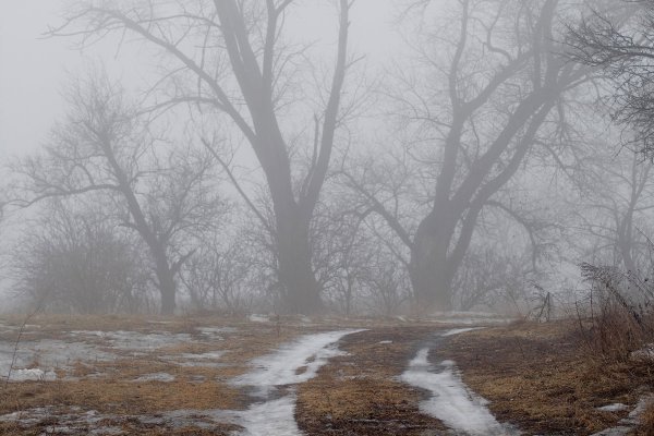 Пасмурный весенний день