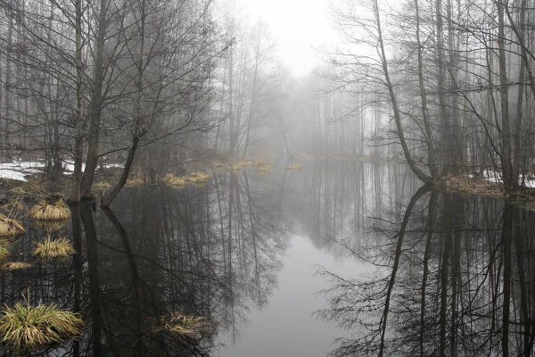 Облачность с прояснениями