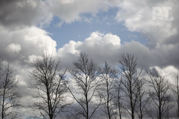 Пасмурная осень река