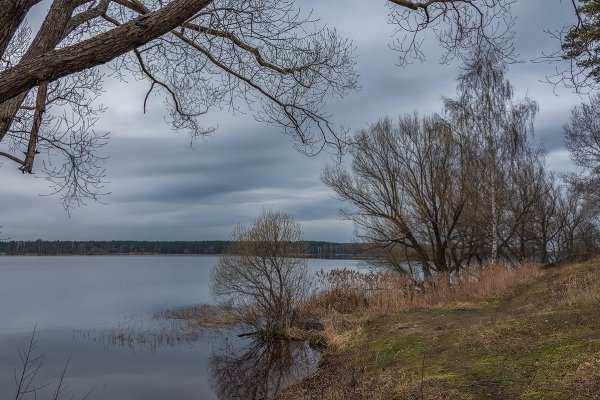 Пасмурная поздняя осень