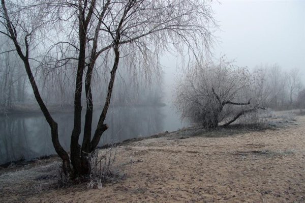 Пасмурная осень