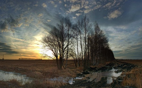 Зимний пасмурный пейзаж