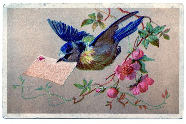 Открытки с птицами