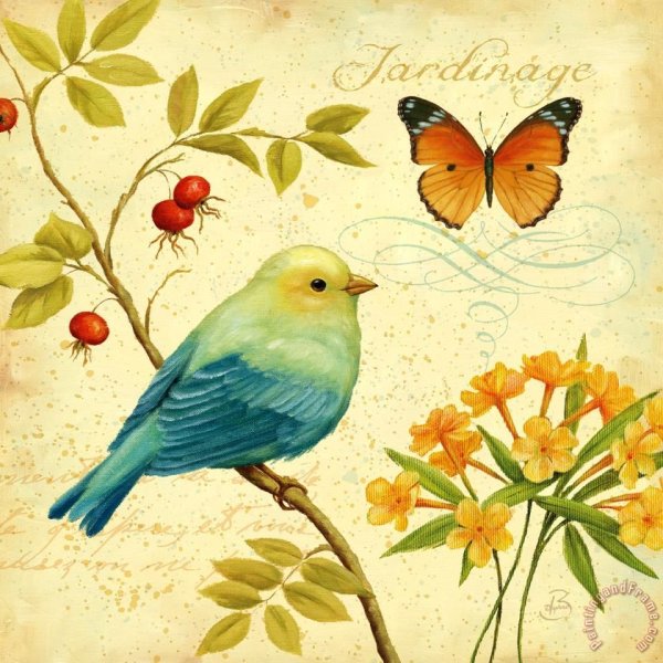 Daphne Brissonnet птицы