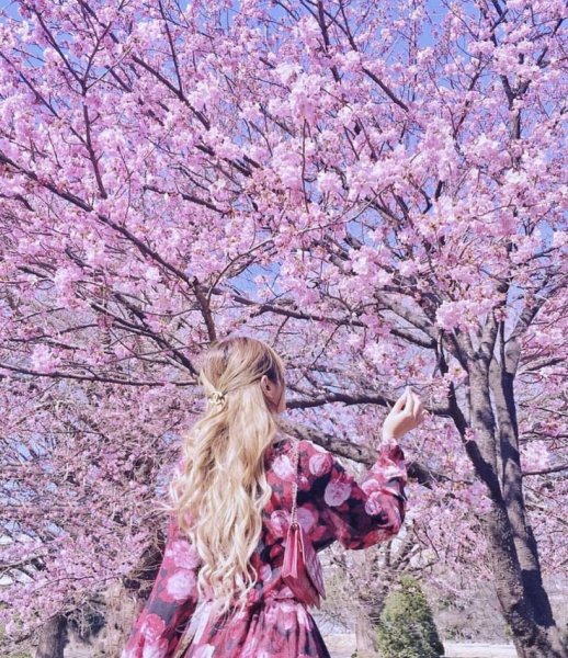 Фэнтези девушки природа лето