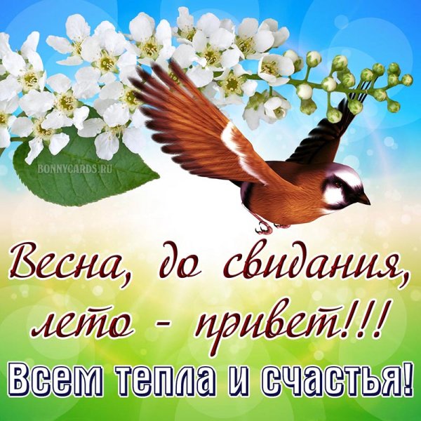 С последним днем весны завтра лето