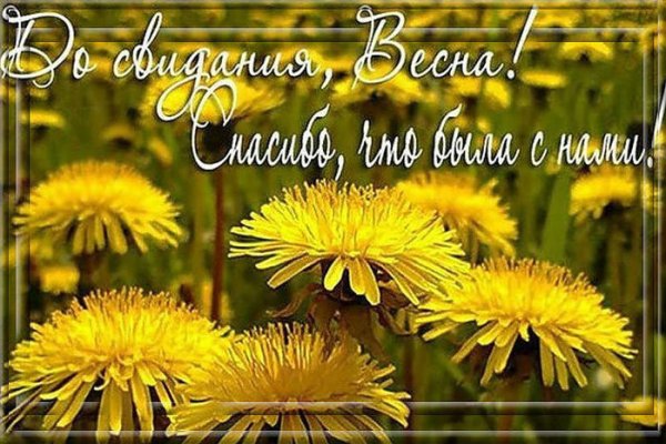 До свидания Весна