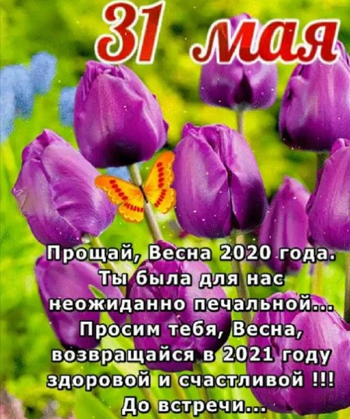 Прощай Весна