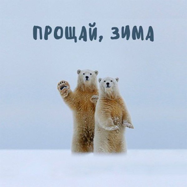 Прощай зима Здравствуй Весна