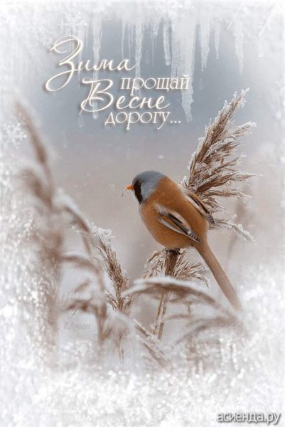 Открытки с прощанием зимы