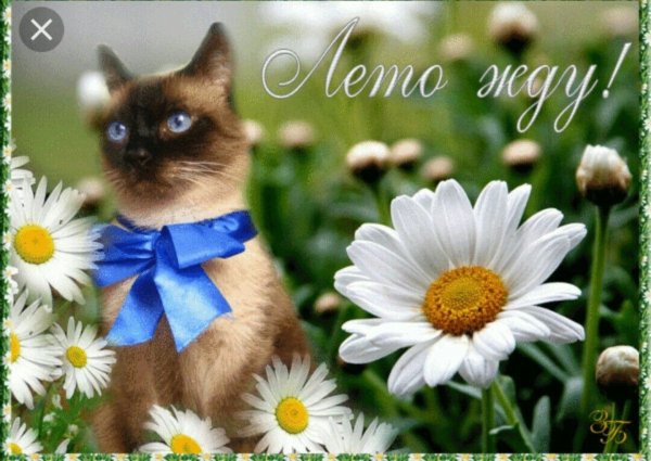 Открытки с последними днями весны