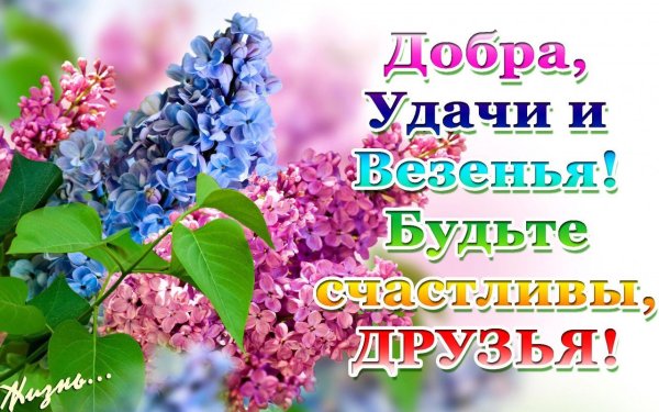 Уходит май оставив дух сирени стихи