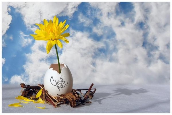 Солнечных весенних выходных