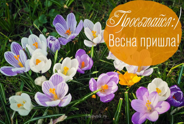 Цветы весенние с надписью