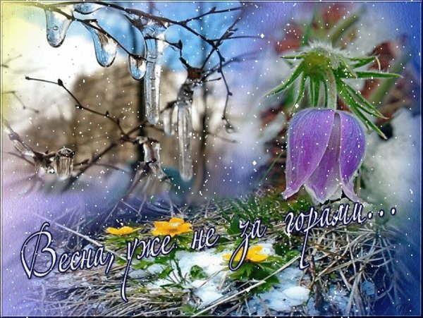 Доброго весеннего дня