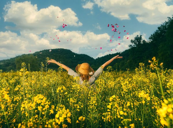 Летний день