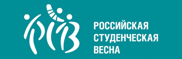 Голубые цветы подснежники