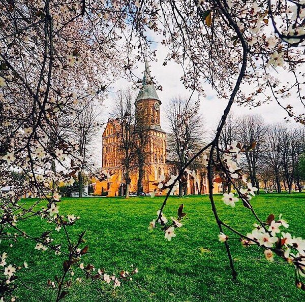 Калининград весной