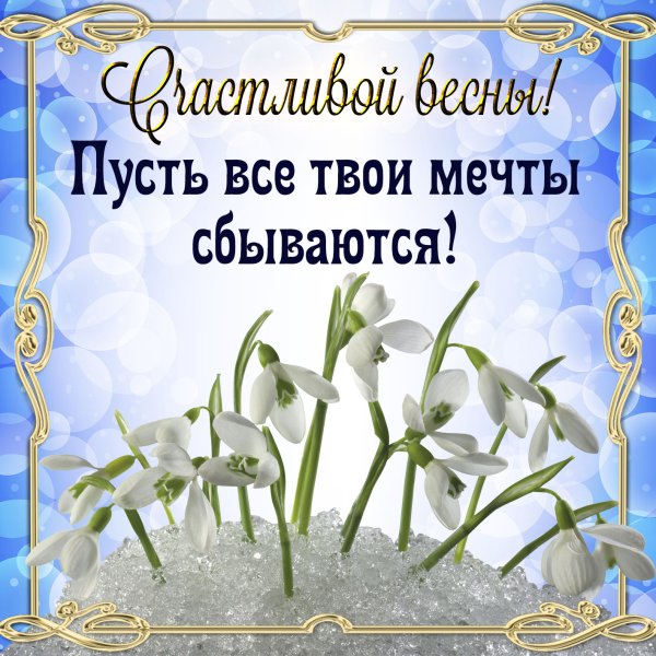 Февральское утро скоро Весна