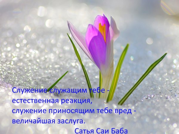 Доброго весеннего дня прикольные