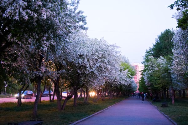 Иркутск летом