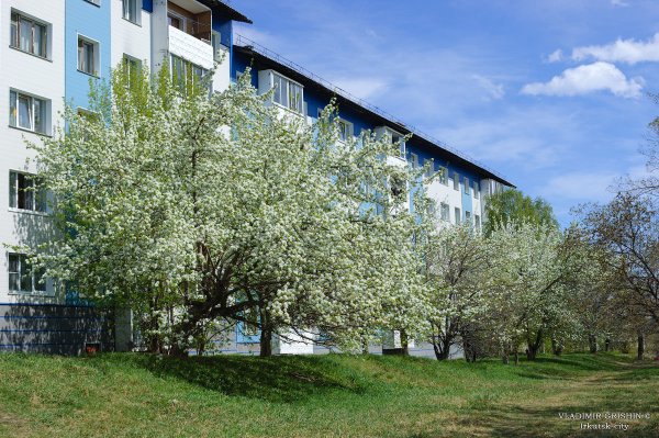 Ранняя Весна в Иркутске