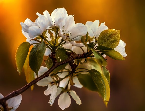 Весна в Иркутске