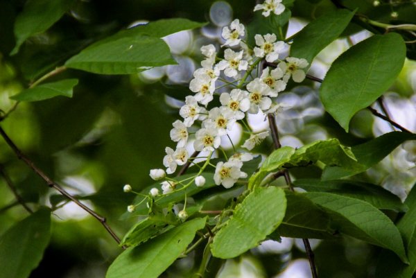 Казачинско-Ленский район Иркутской области